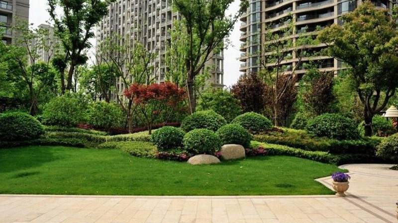 中国男足比赛时间怎么查?避开信息差看准开球节点