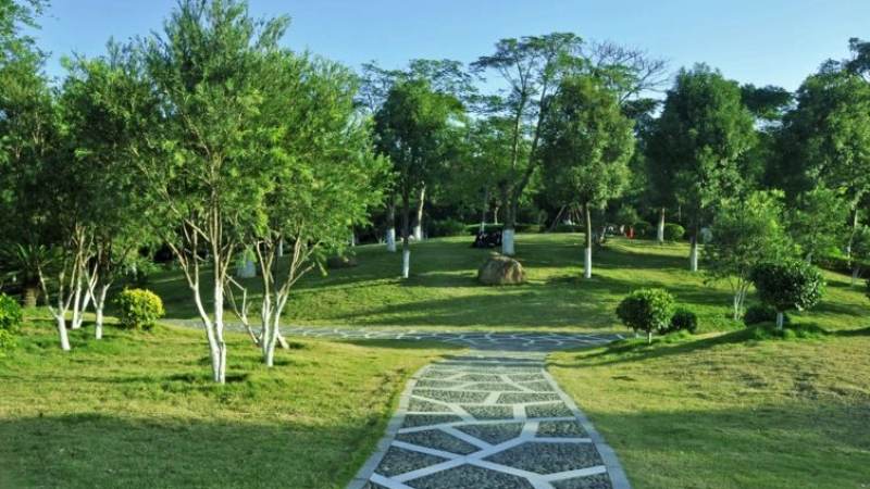 CBA季后赛对阵怎么定？规则、排位与匹配逻辑讲清楚